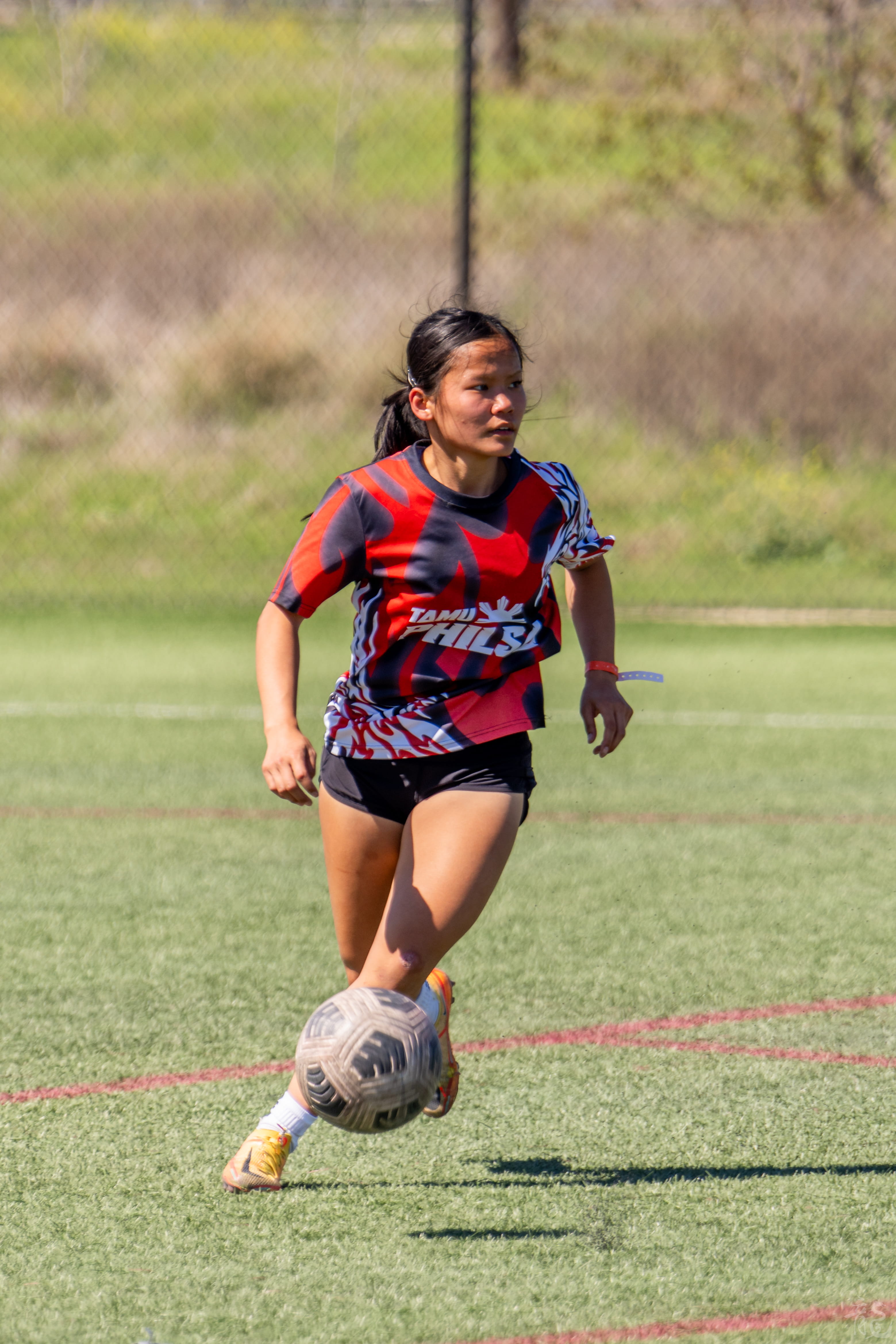 Soccer action shot